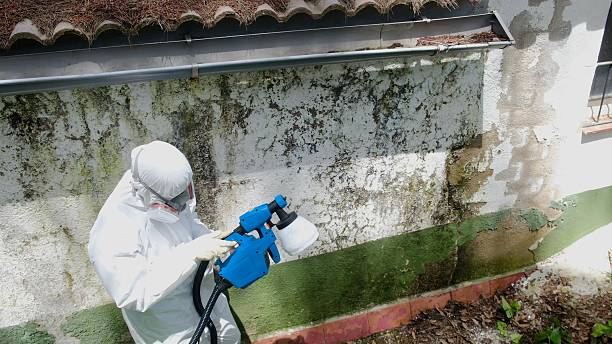 Trusted Commercial Mold Remediation service in Emerson, NJ - Cheap Mold Removal